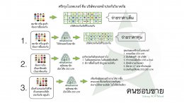 รายได้จากการเป็นสมาชิกศรีกรุงโบรคเกอร์